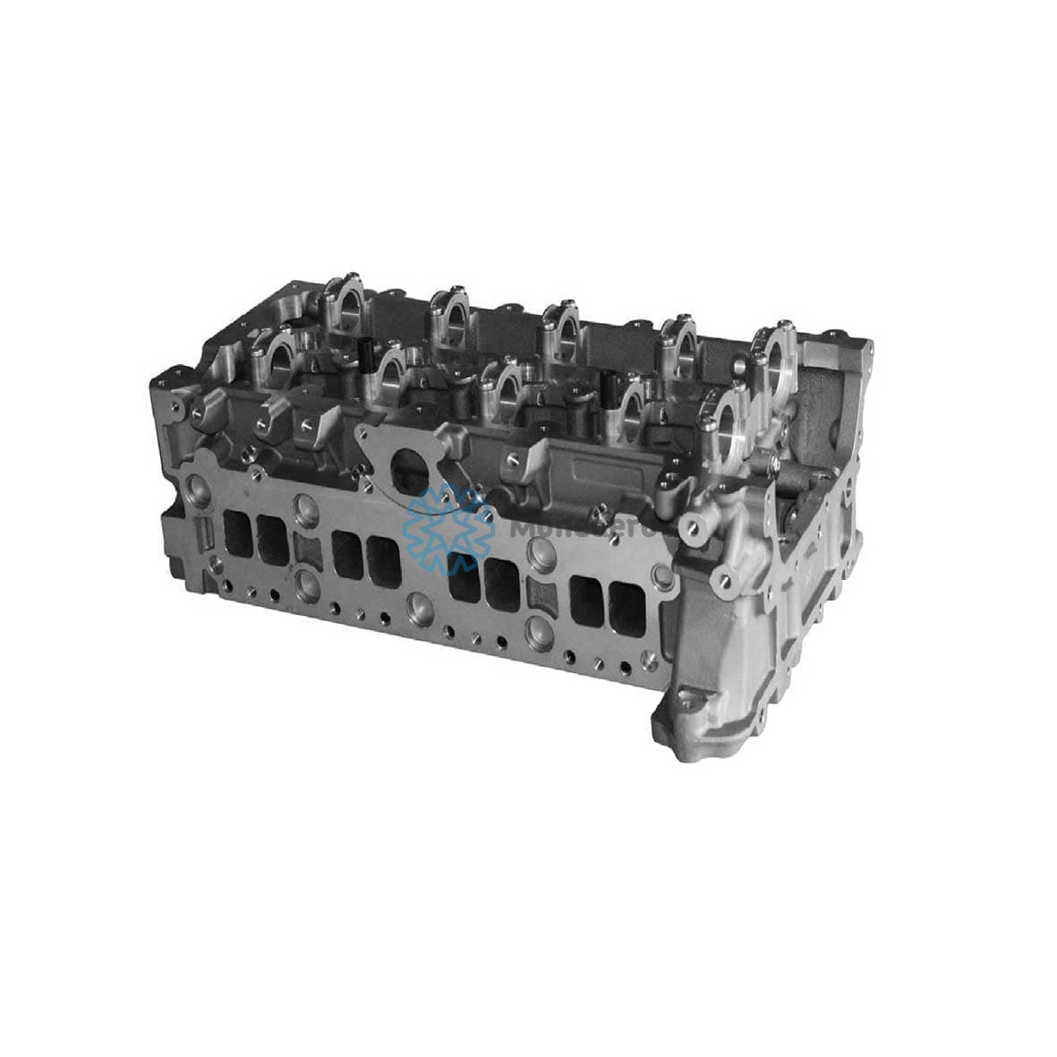 MONEDERO Cylinder Head Article number: 10012700042 cheaply