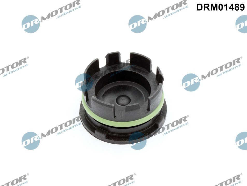 DR.MOTOR AUTOMOTIVE Screw Plug, crankcase Article number: DRM01489 cheaply