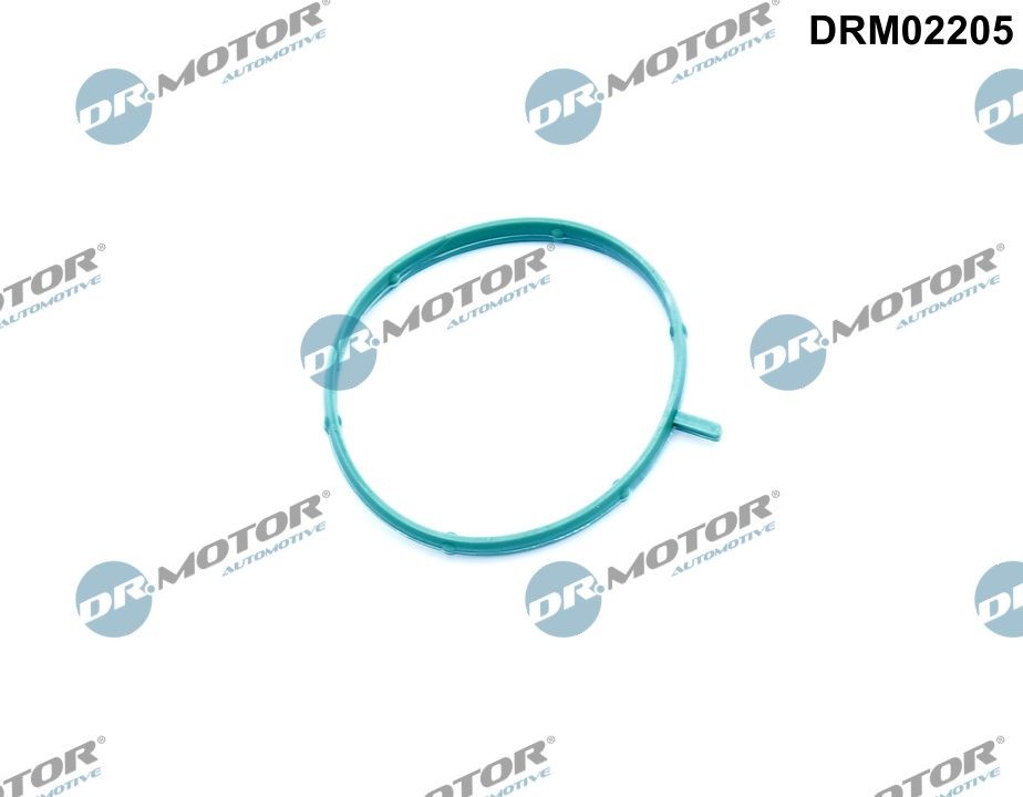 DR.MOTOR AUTOMOTIVE Thermostat housing gasket Article number: DRM02205 cheaply