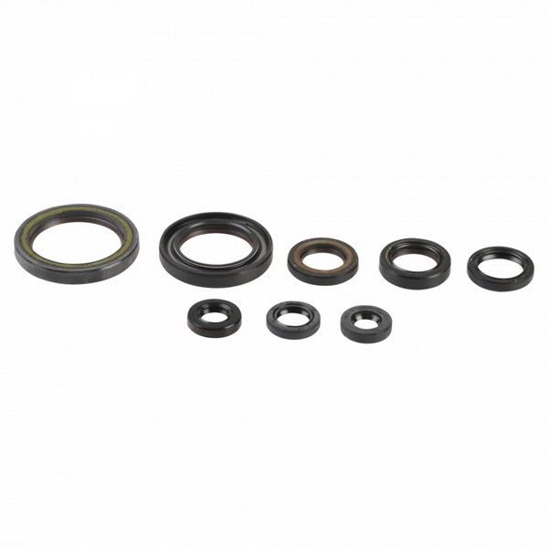 ATHENA Spring Washer, exhaust system Article number: P400210400202 cheaply