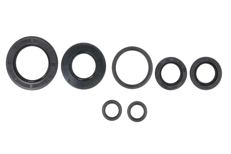 ATHENA Spring Washer, exhaust system Article number: P400210400284 cheaply