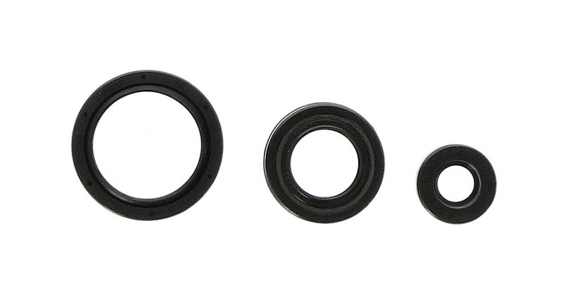 ATHENA Spring Washer, exhaust system Article number: P400220400263 cheaply