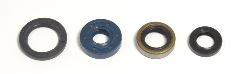 ATHENA Spring Washer, exhaust system Article number: P400250400030 cheaply