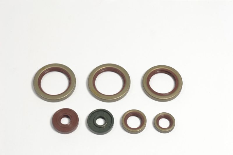 ATHENA Spring Washer, exhaust system Article number: P400270400038 cheaply
