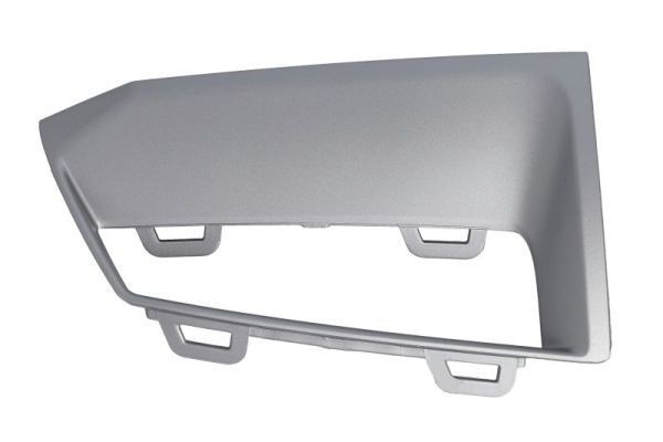 BLIC Bumper moulding Article number: 6502-07-0052924P cheaply