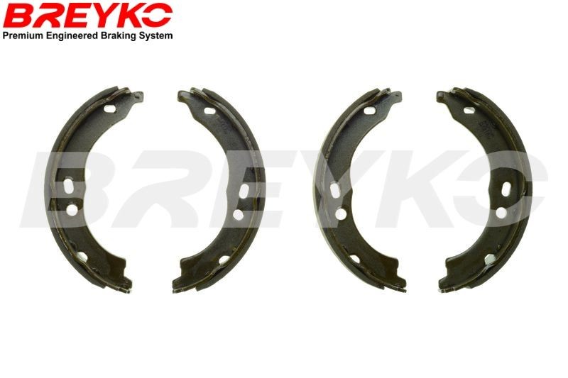DAVID VASCO Brake Shoe Set Article number: W8744 cheaply