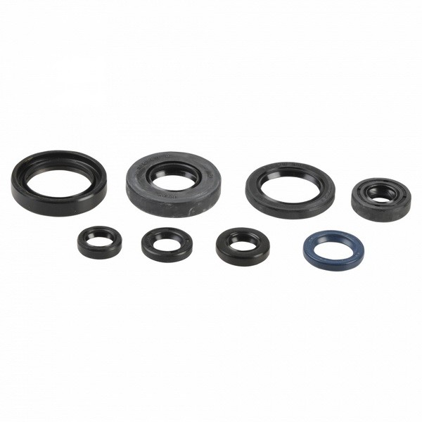 ATHENA Spring Washer, exhaust system Article number: P400485400045 cheaply