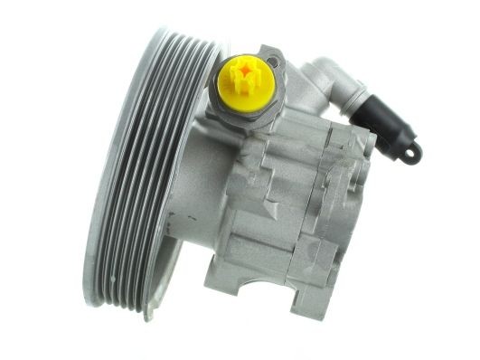SPIDAN Power steering pump Article number: GKNY10151 cheaply