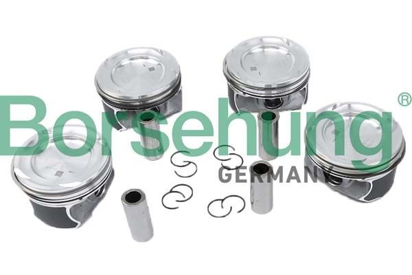Borsehung Piston Ring Kit Article number: B11149 cheaply