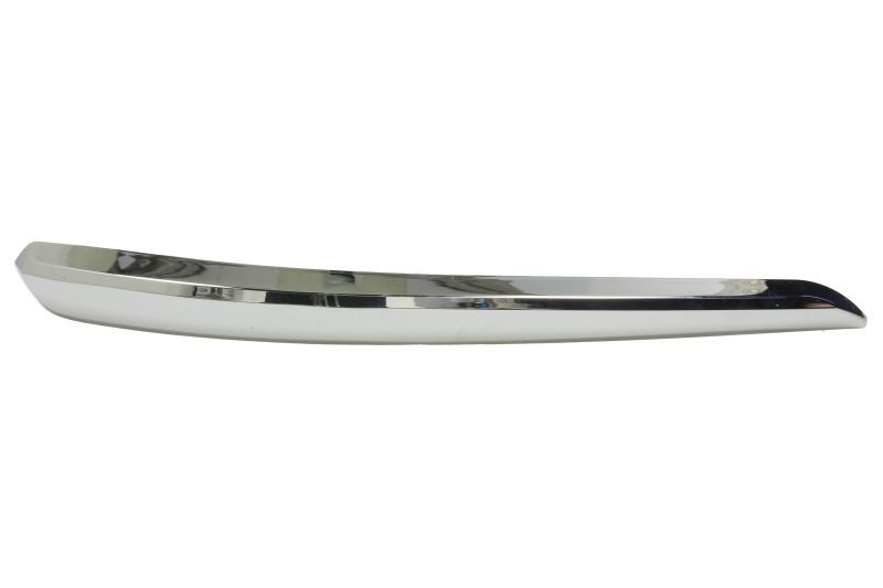 BLIC Bumper moulding Article number: 5513-00-3493921P cheaply