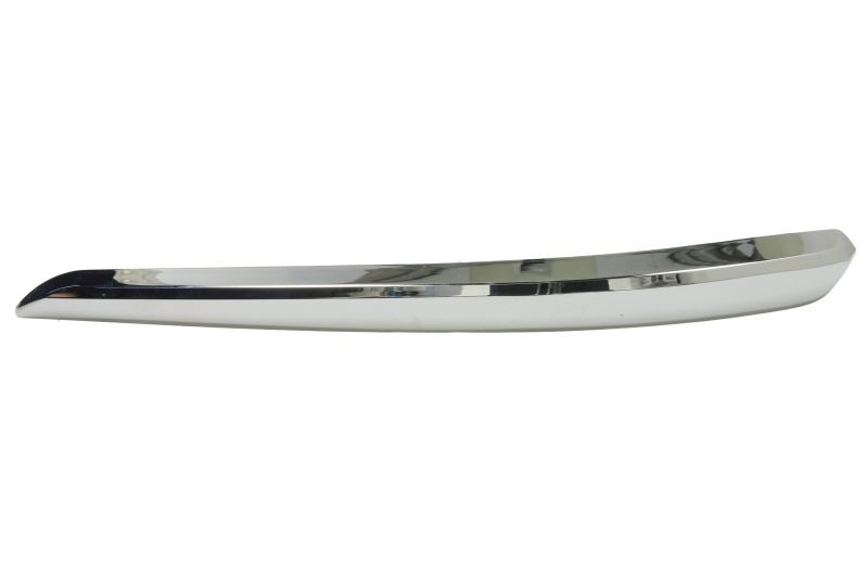BLIC Bumper moulding Article number: 5513-00-3493922P cheaply