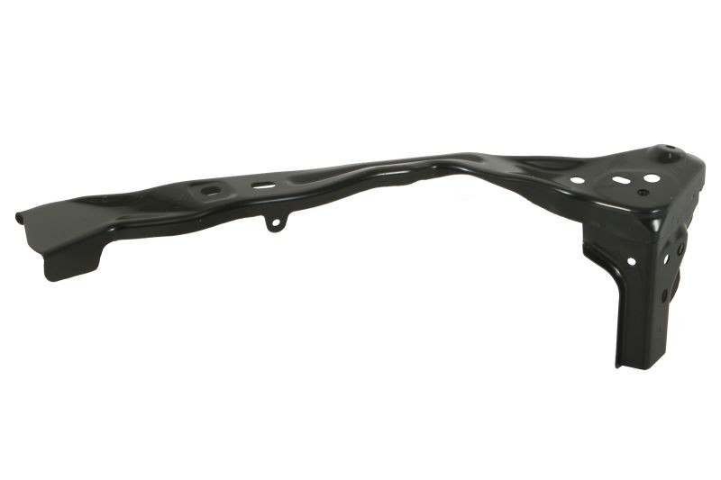 BLIC Headlight Base Article number: 6502-03-3492203P cheaply