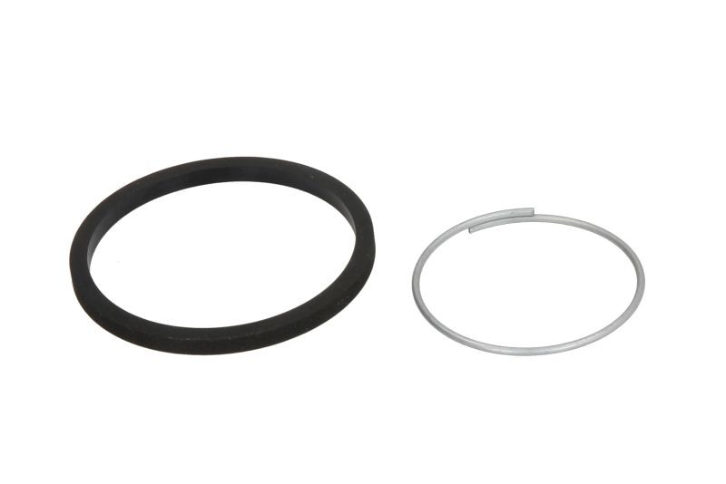 BBP Repair Kit, brake caliper Article number: 15508K cheaply