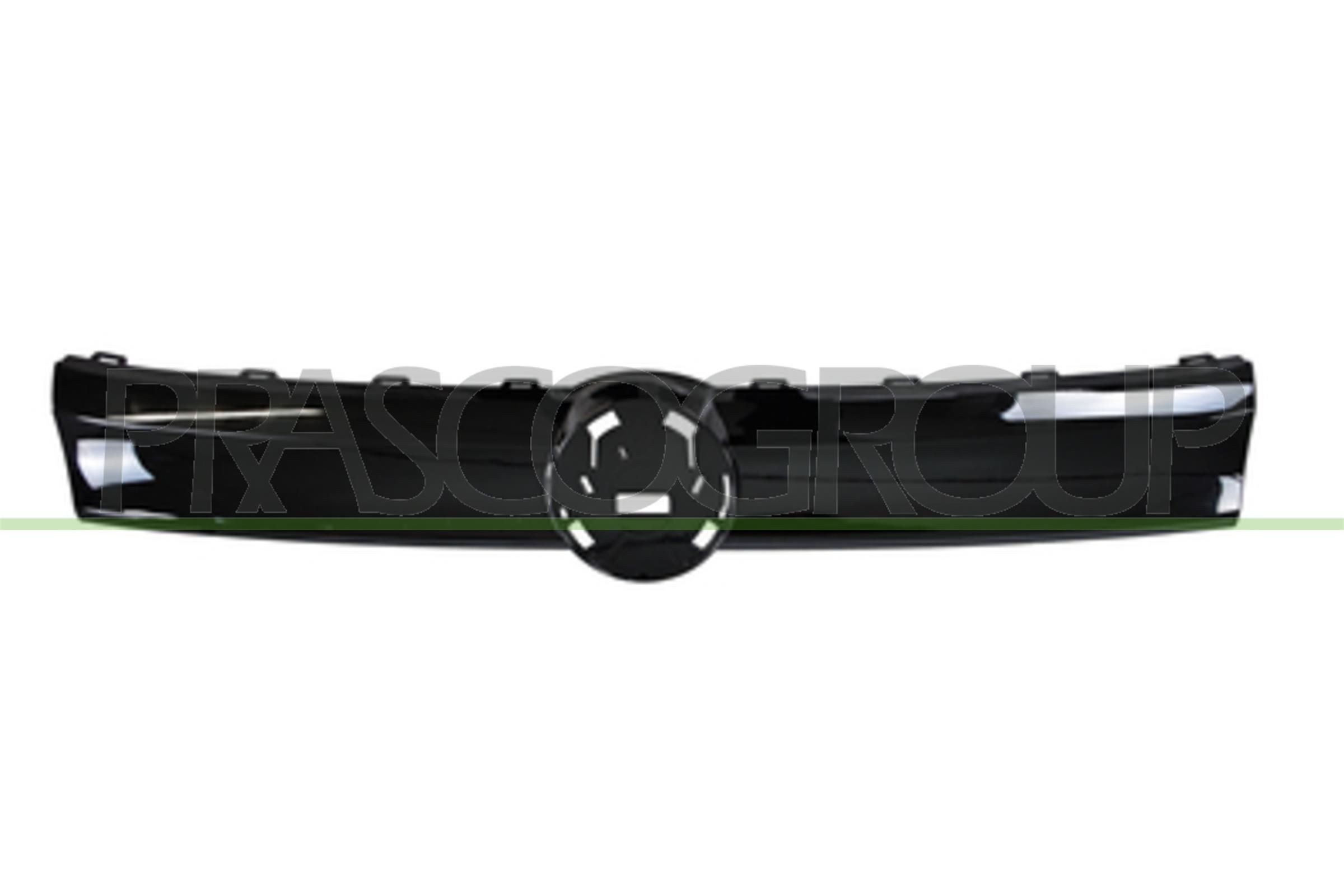 PRASCO Radiator Grille Article number: VG8602001 cheaply