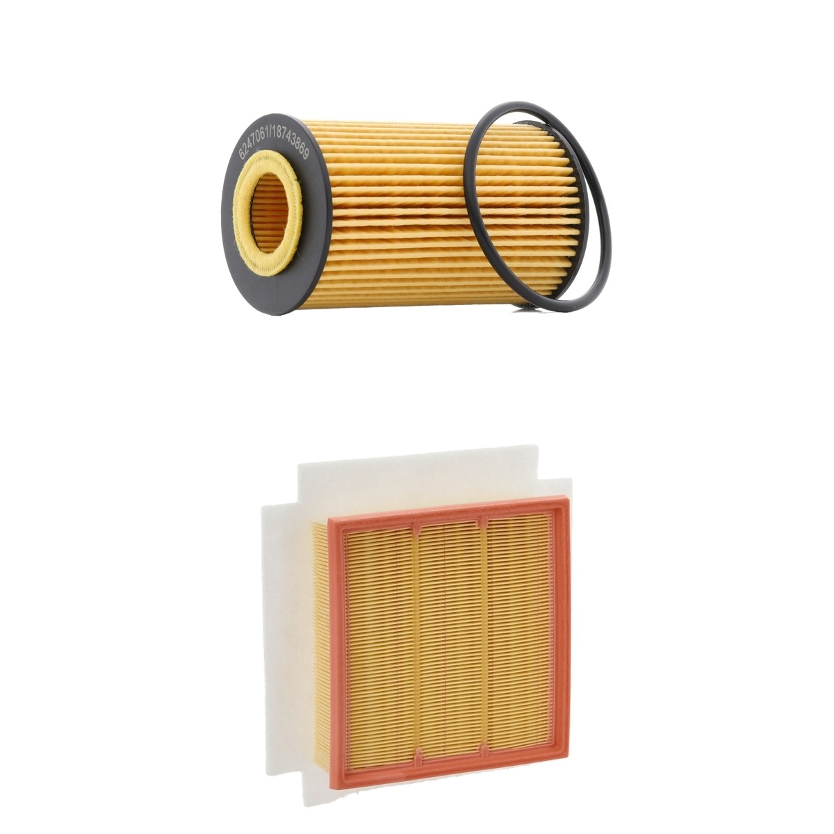 RIDEX PLUS Filter kit Article number: 4055F1138P cheaply