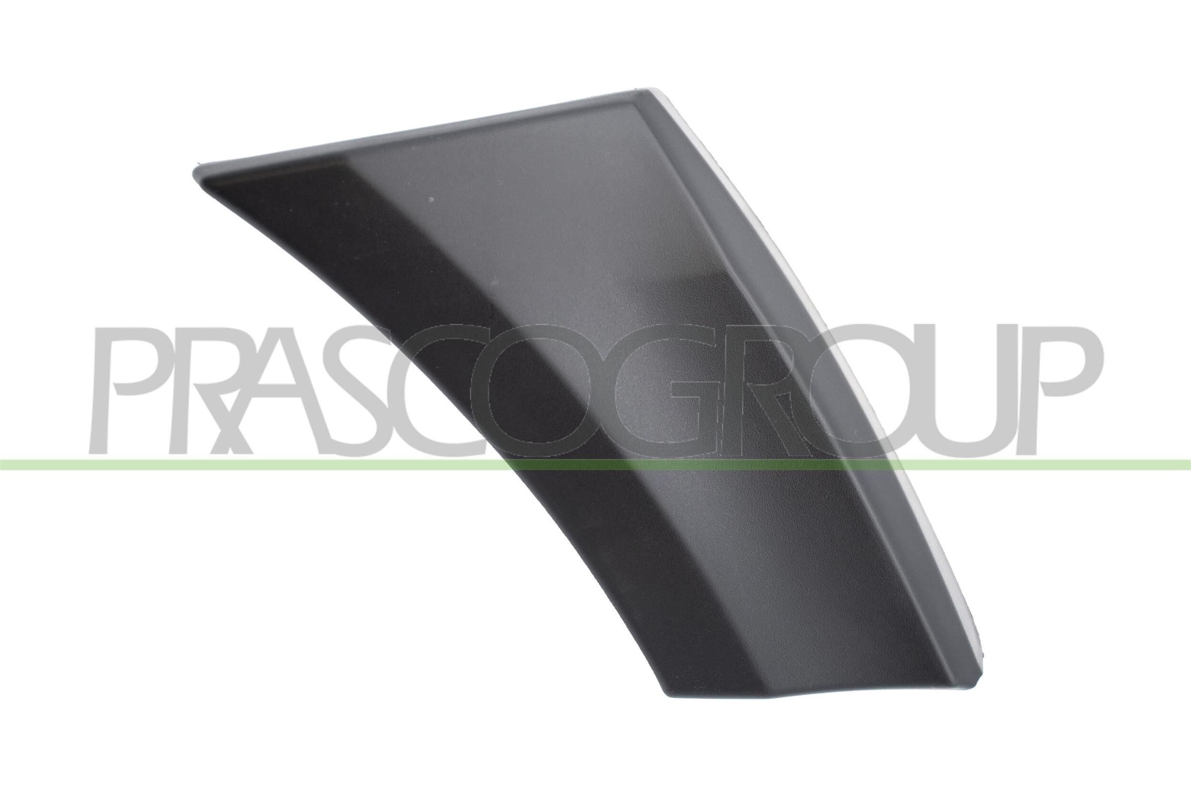 PRASCO Trim / Protective Strip, mudguard Article number: ME9191581 cheaply