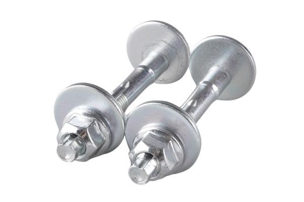 TEDGUM TED38442 Camber bolt OCTAVIA 2.0 TSI RS 245 PS Petrol 2020