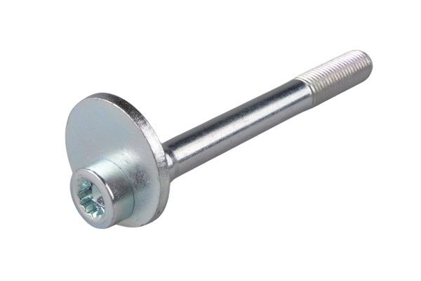 TEDGUM TED59723 Camber bolt PASSAT 1.9 TDI Syncro/4motion 110 PS Diesel 2001
