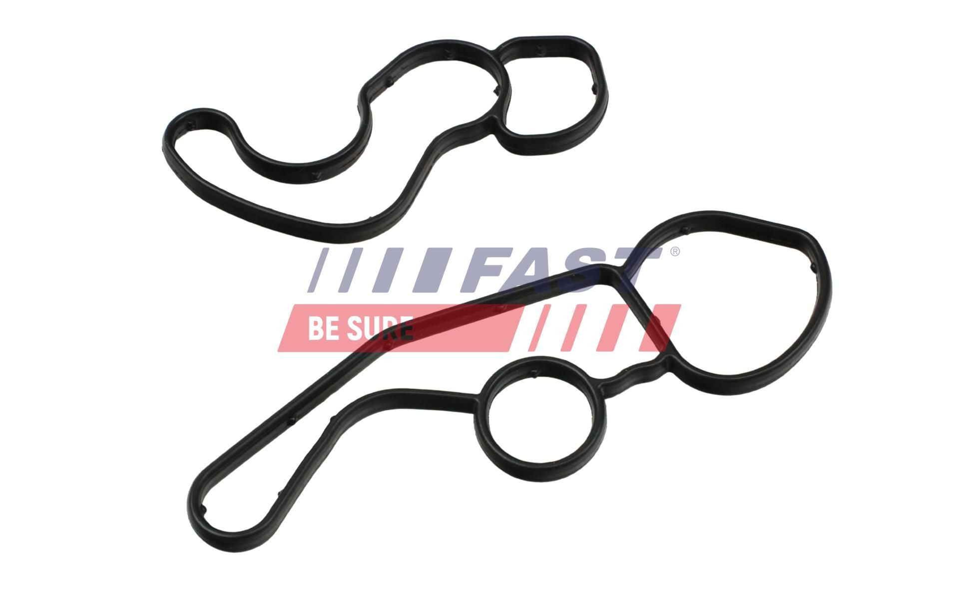 FAST Seal, turbo air hose Article number: FT48963 cheaply