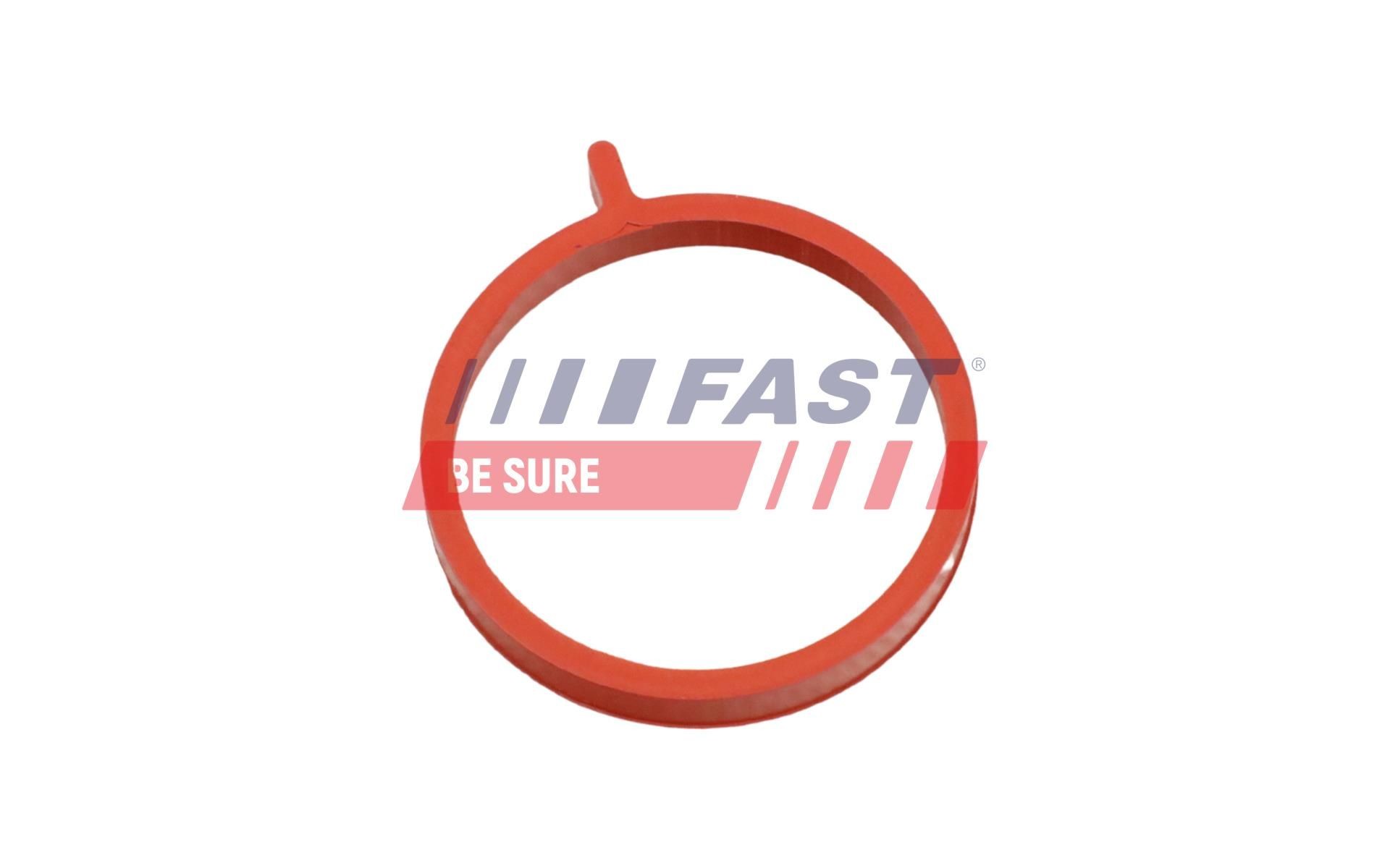 FAST Seal, turbo air hose Article number: FT48964 cheaply