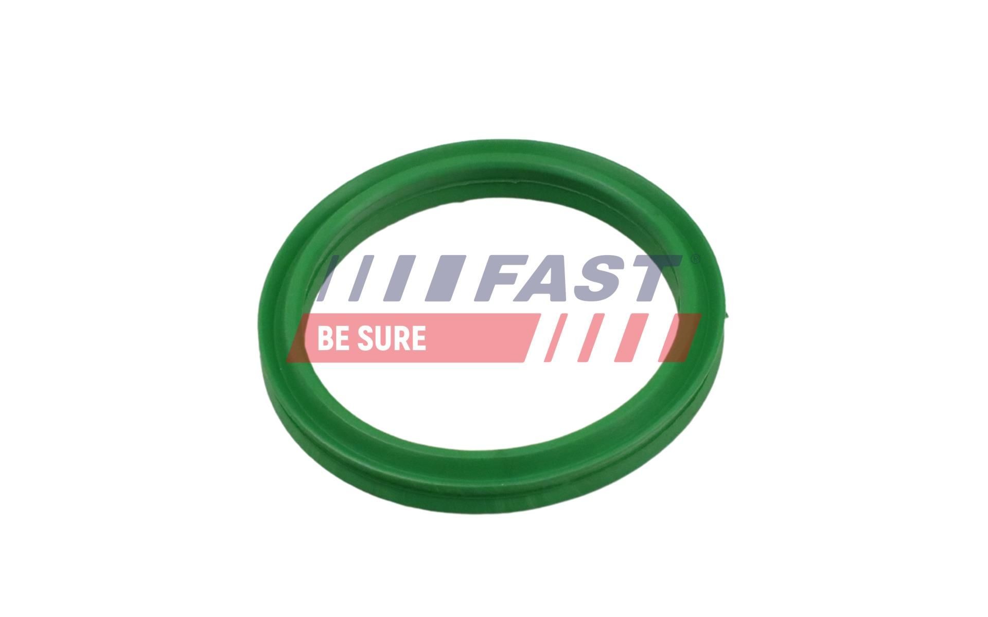 FAST Seal, turbo air hose Article number: FT49936 cheaply