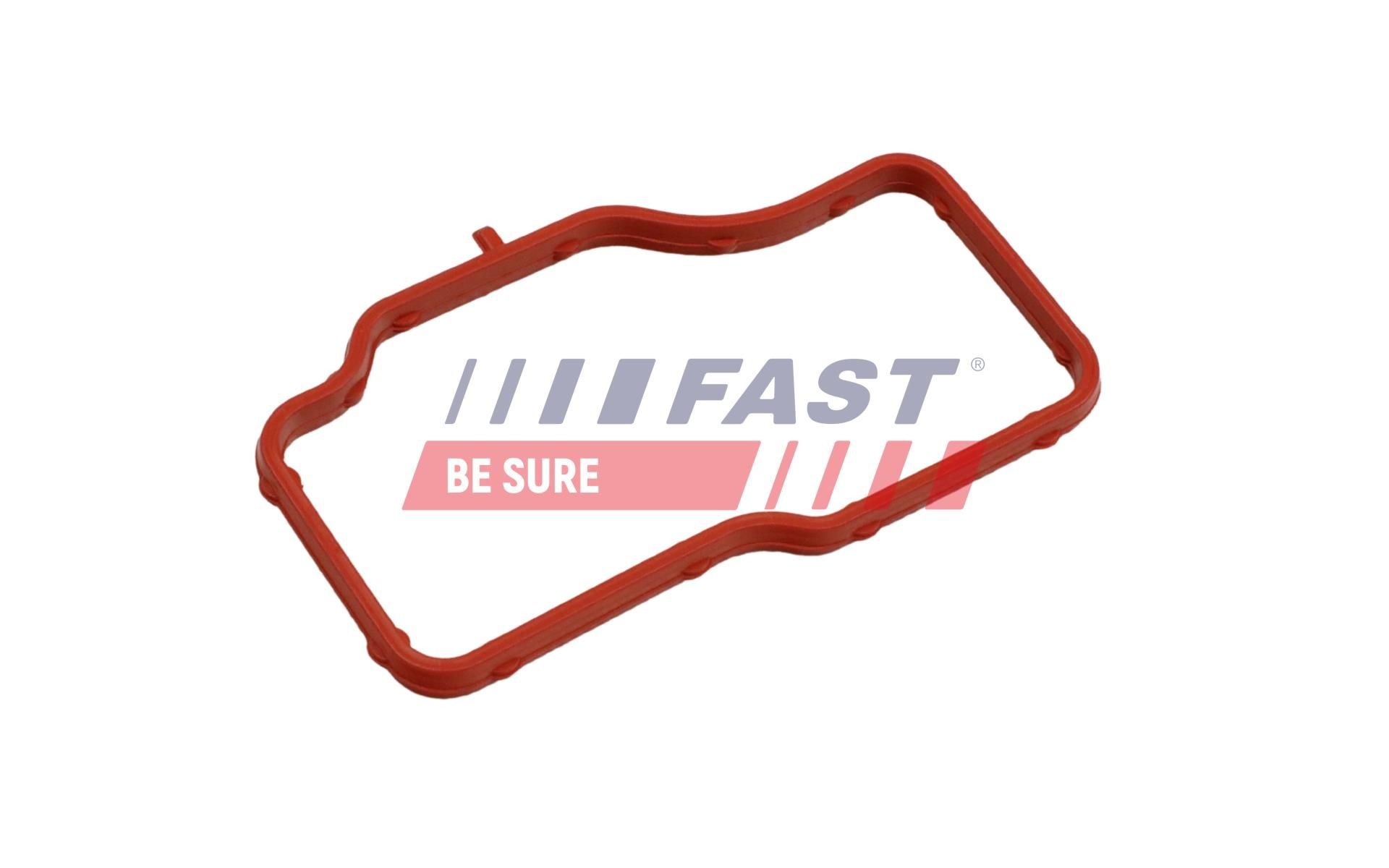 FAST Thermostat housing gasket Article number: FT58307 cheaply