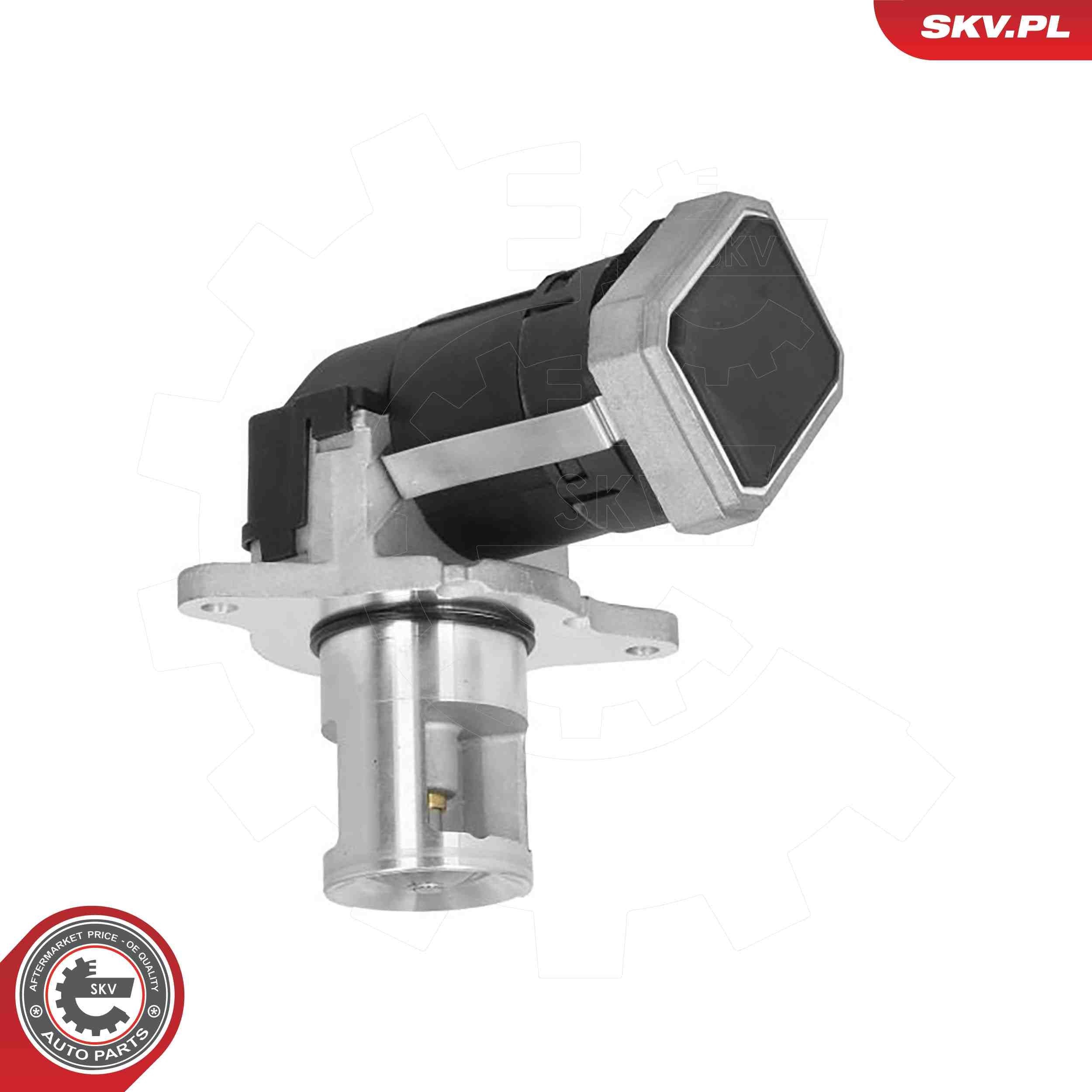 ESEN SKV EGR valve Article number: 14SKV308 cheaply