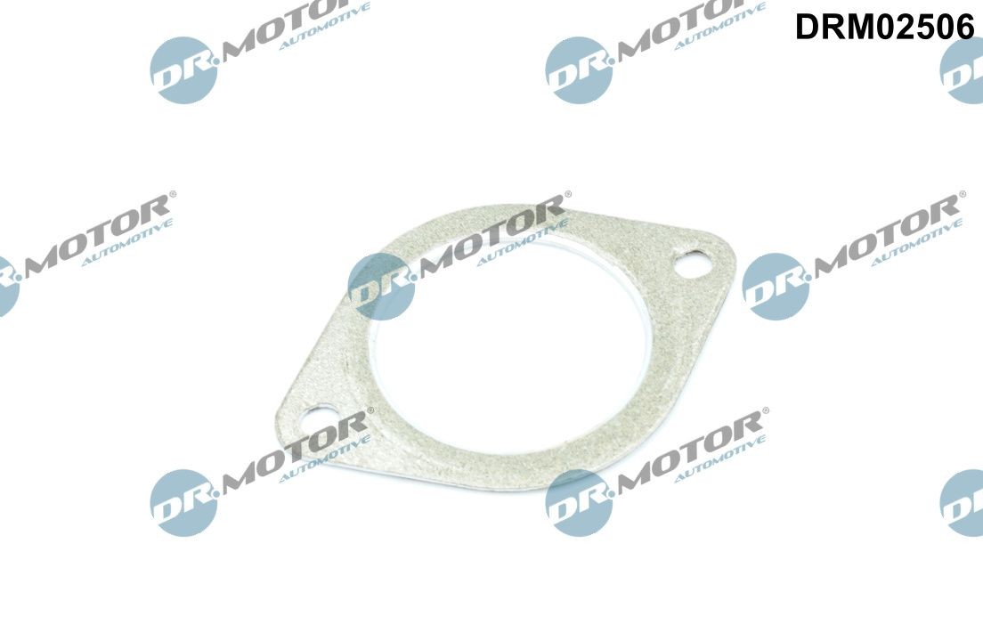 DR.MOTOR AUTOMOTIVE Exhaust pipe gasket Article number: DRM02506 cheaply