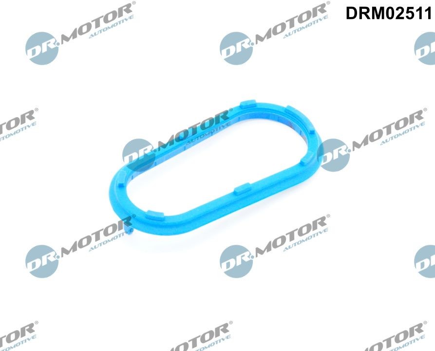 DR.MOTOR AUTOMOTIVE Turbo gasket Article number: DRM02511 cheaply