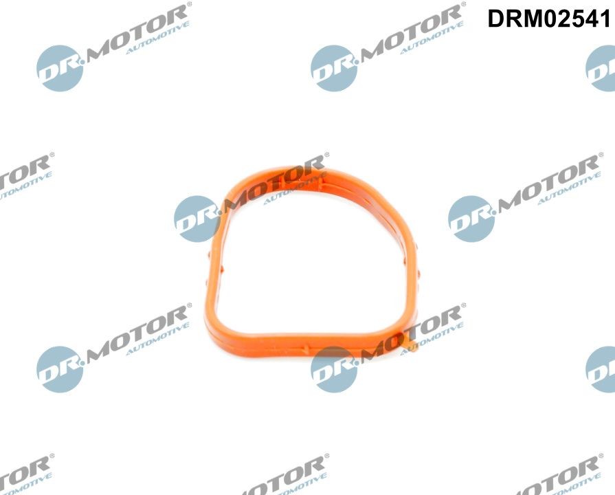 DR.MOTOR AUTOMOTIVE Gasket, coolant flange Article number: DRM02541 cheaply