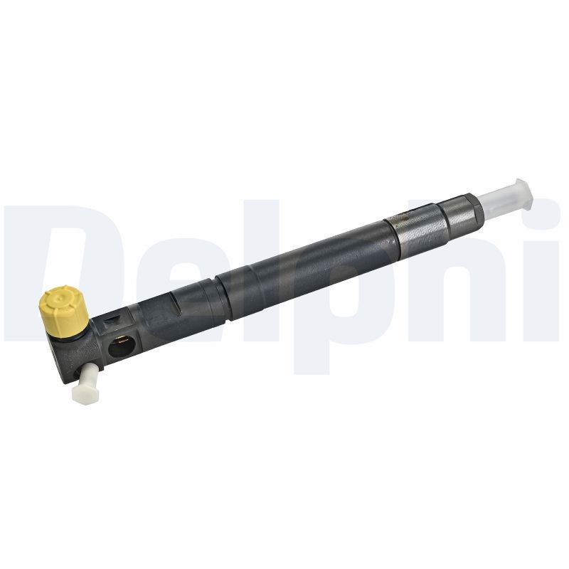 DELPHI Injector Article number: R00301D-12B1 cheaply