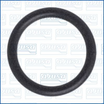 AJUSA Seal, coolant tube Article number: 16010400 cheaply