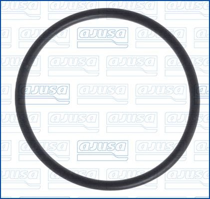 AJUSA Seal Ring, air filter housing intake hose Article number: 16052600 cheaply