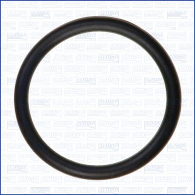 AJUSA Gasket, thermostat Article number: 16087400 cheaply