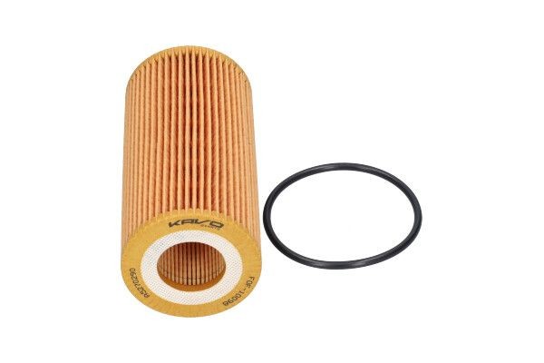 KAVO PARTS Oil filter Article number: FOF-10098 cheaply