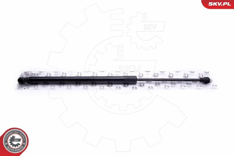 ESEN SKV 52SKV243 Electrical motor, tailgate MODEL S 70D AWD 525 PS Electric