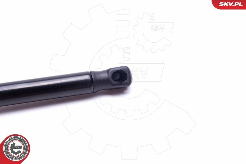 ESEN SKV 52SKV246 Electrical motor, tailgate KUGA 2.0 EcoBlue mHEV 150 PS Diesel/Electro