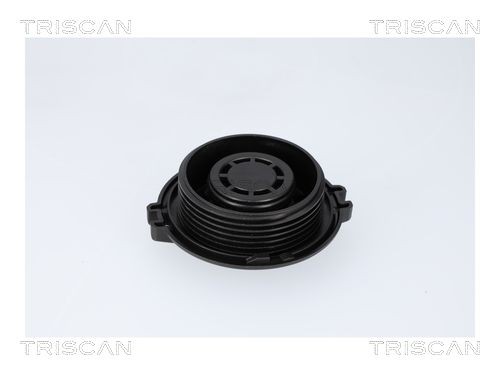 TRISCAN Expansion tank cap Article number: 8610 34 cheaply