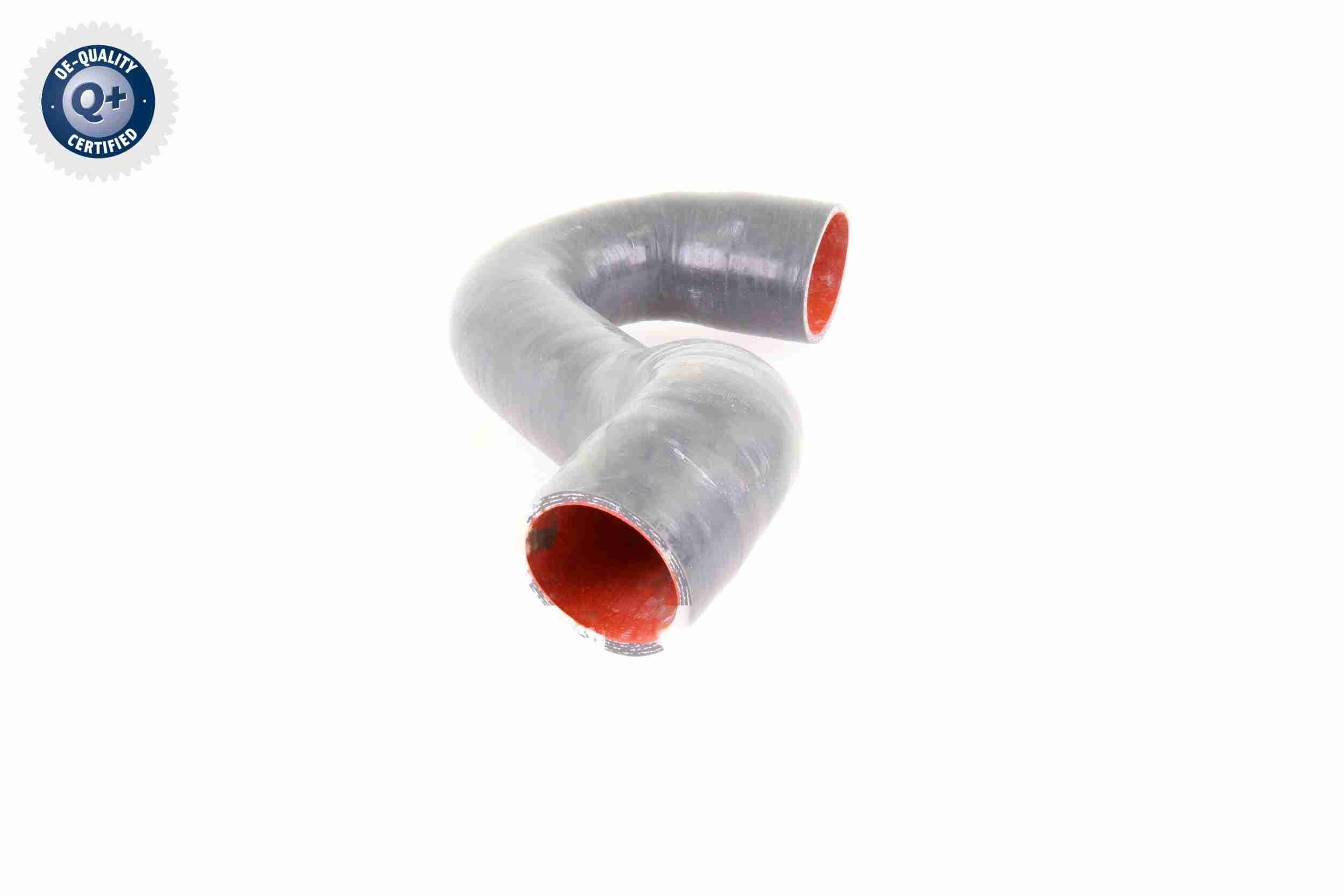 VAICO Radiator hose Article number: V22-1396 cheaply