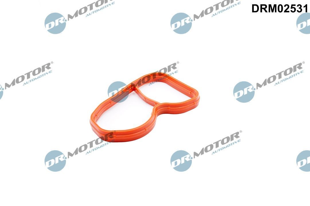 DR.MOTOR AUTOMOTIVE Inlet manifold gasket Article number: DRM02531 cheaply