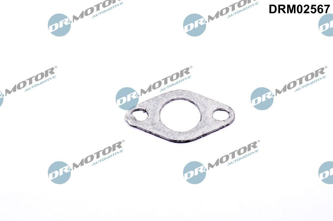 DR.MOTOR AUTOMOTIVE Seal, secondary air valve Article number: DRM02567 cheaply