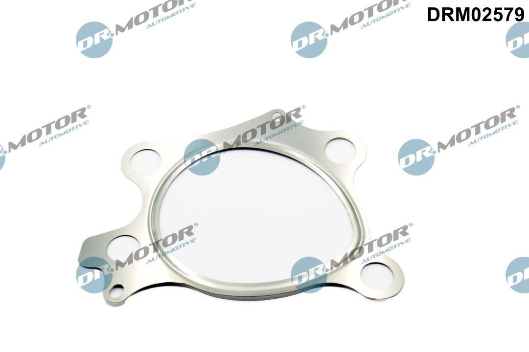 DR.MOTOR AUTOMOTIVE Exhaust pipe gasket Article number: DRM02579 cheaply