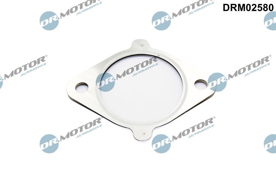 DR.MOTOR AUTOMOTIVE Seal, EGR valve Article number: DRM02580 cheaply
