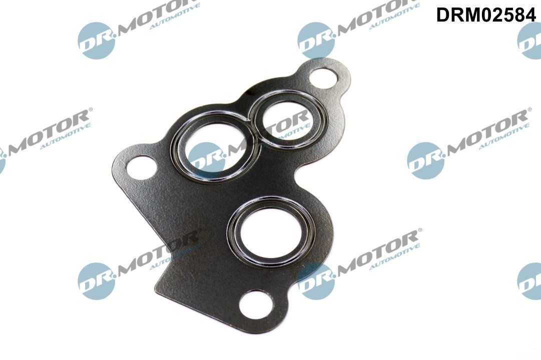 DR.MOTOR AUTOMOTIVE Garnituri, carcasa filtru ulei număr articol: DRM02584 ieftin