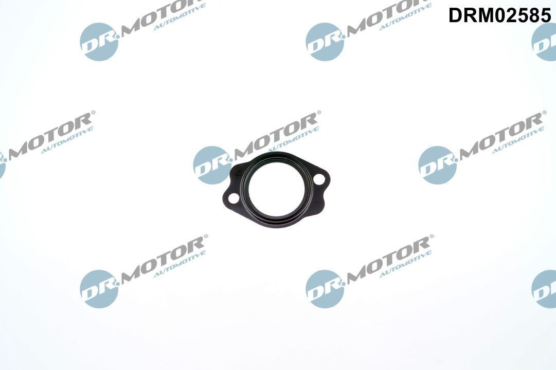 DR.MOTOR AUTOMOTIVE Seal, coolant tube Article number: DRM02585 cheaply