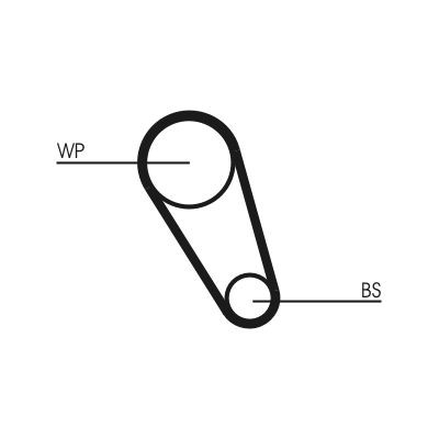 CONTITECH Water pump and timing belt kit Article number: CT1185WP6 cheaply