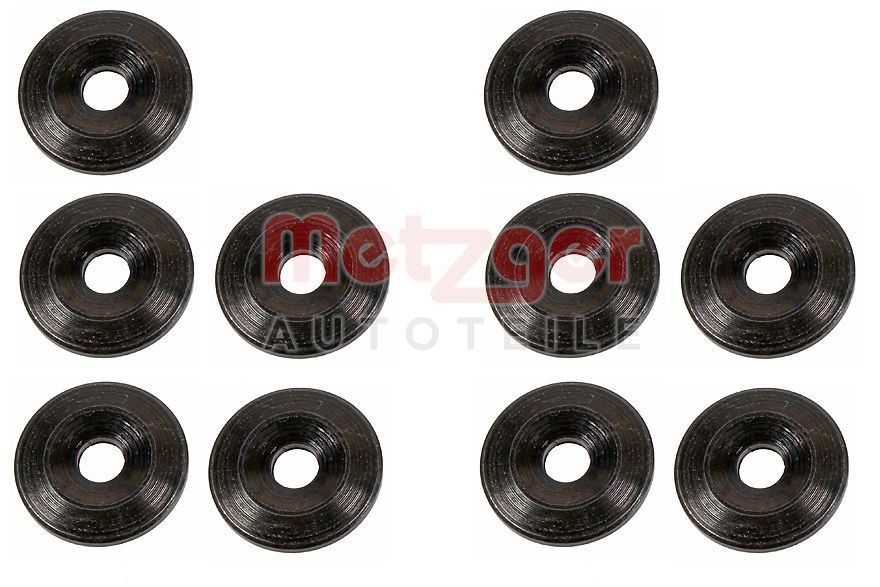 METZGER 0873080 Heat Shield, injection system SCÉNIC 1.9 D (JA0J, FA0J) 64 PS Diesel 2003