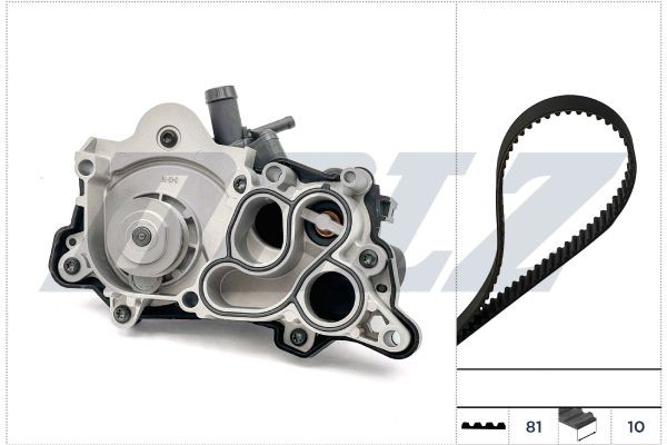 DOLZ Water pump and timing belt kit Article number: KD316 cheaply