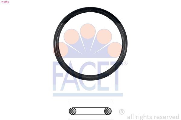 FACET Gasket, thermostat Article number: 7.9753 cheaply