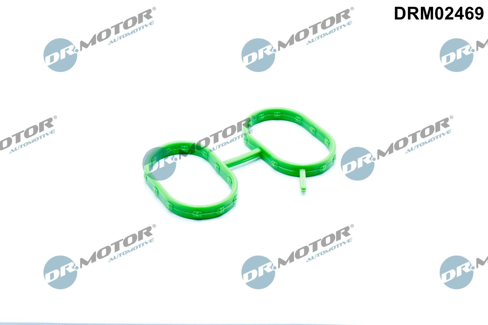 DR.MOTOR AUTOMOTIVE Inlet manifold gasket Article number: DRM02469 cheaply